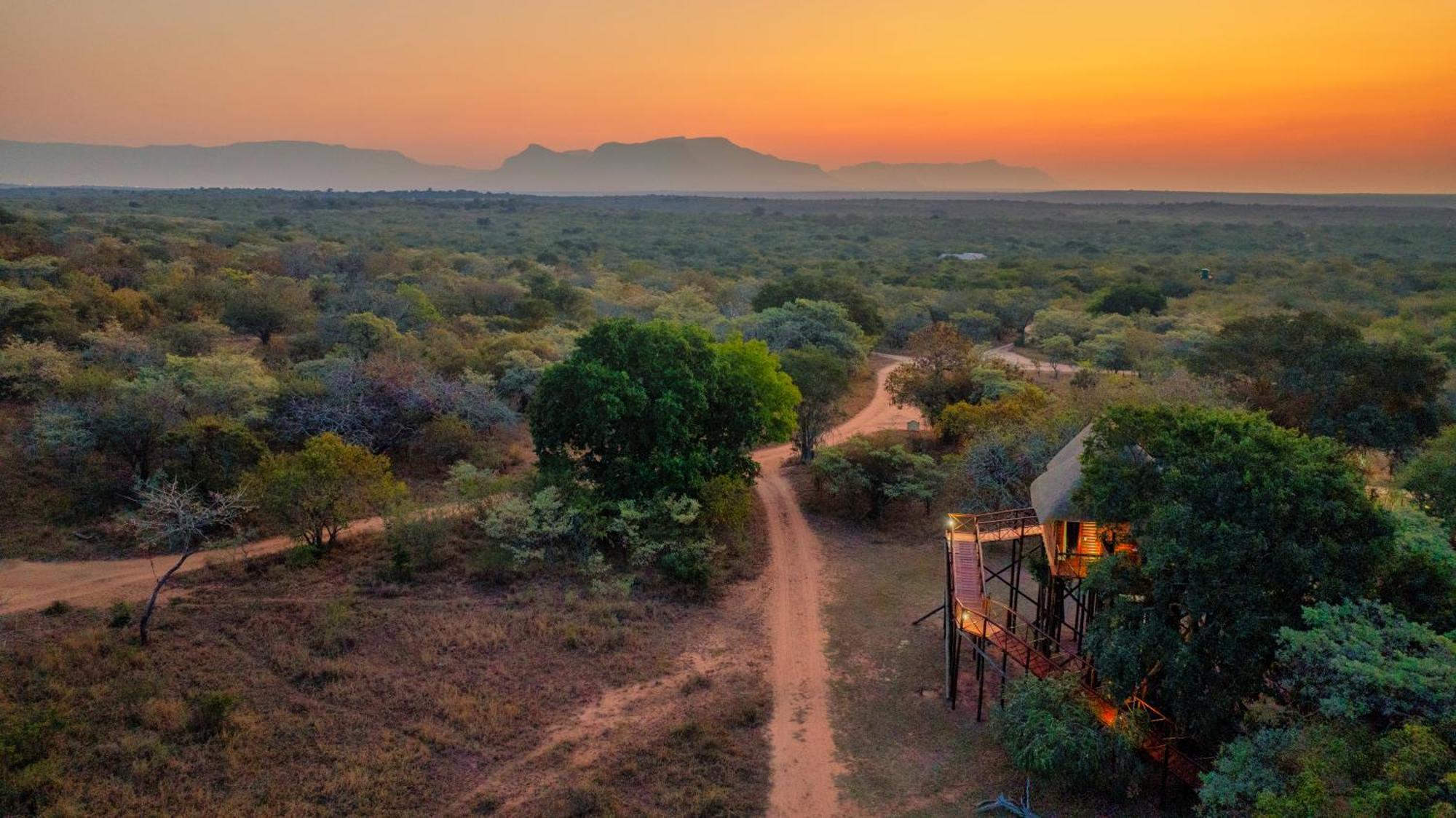 Pezulu Tree House Lodge Hoedspruit Exterior photo