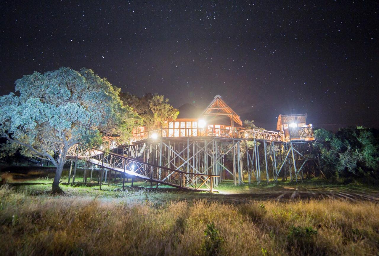 Pezulu Tree House Lodge Hoedspruit Exterior photo