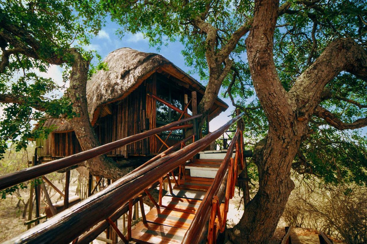 Pezulu Tree House Lodge Hoedspruit Exterior photo