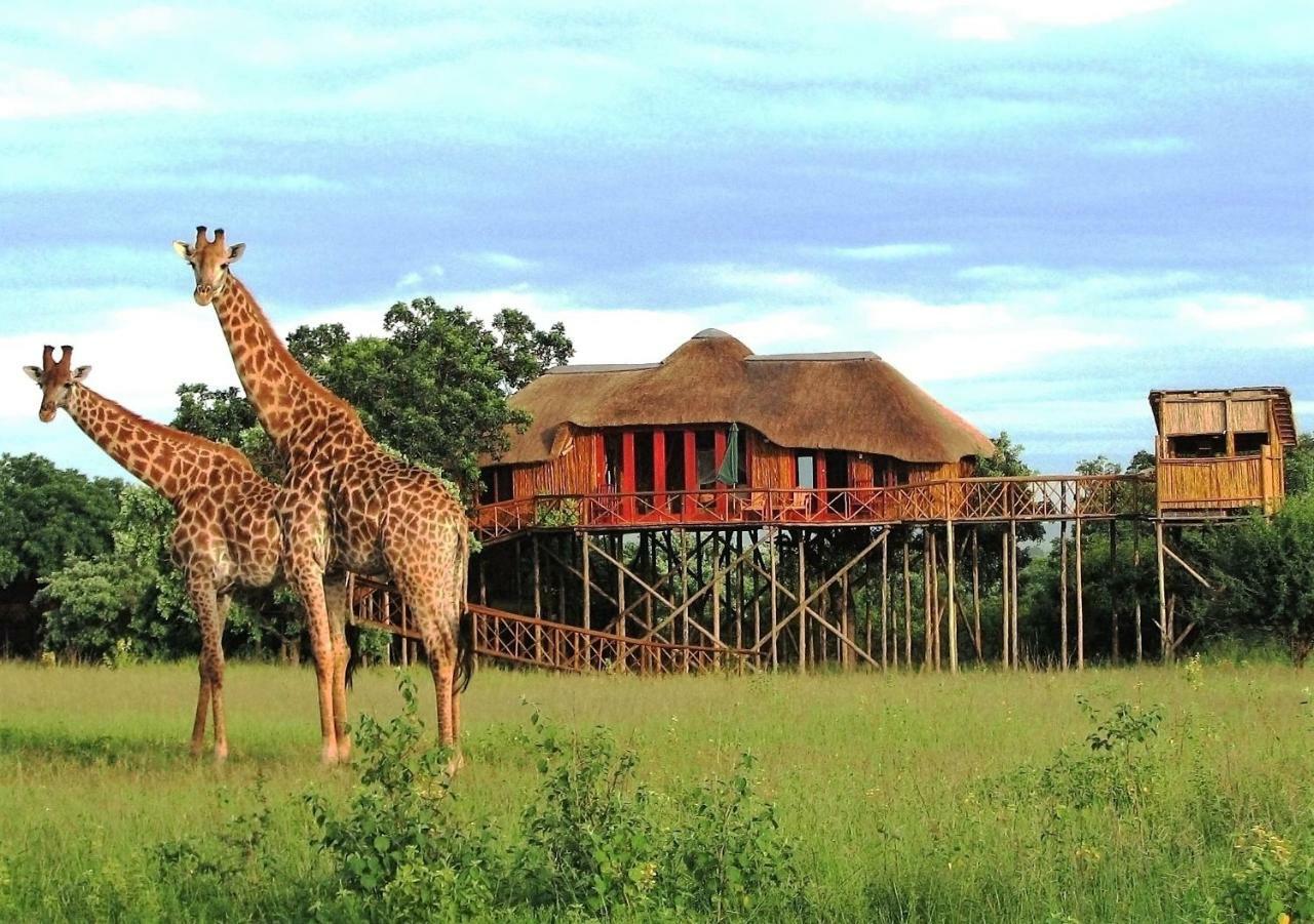 Pezulu Tree House Lodge Hoedspruit Exterior photo