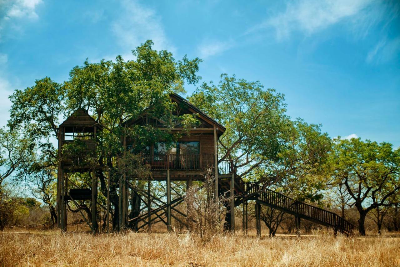 Pezulu Tree House Lodge Hoedspruit Exterior photo