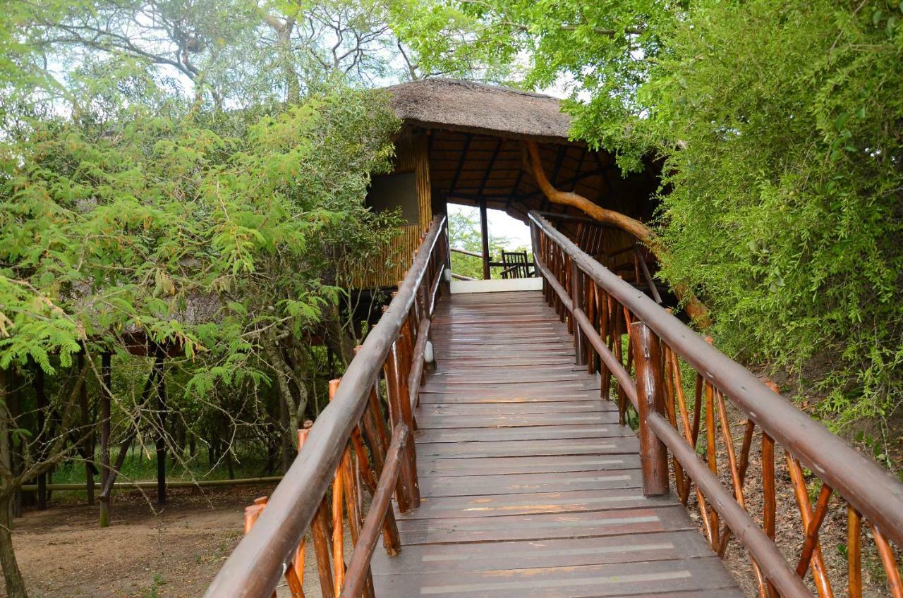 Pezulu Tree House Lodge Hoedspruit Exterior photo