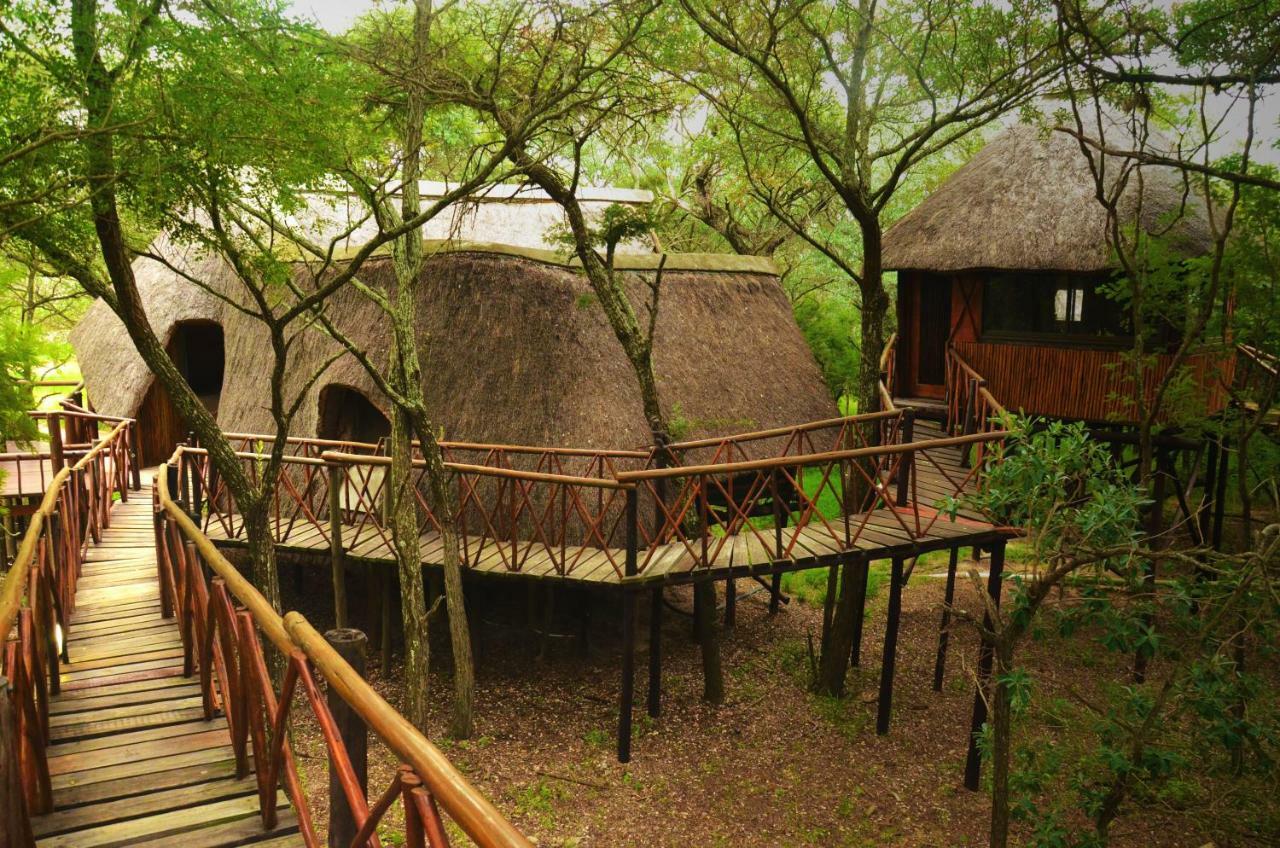 Pezulu Tree House Lodge Hoedspruit Exterior photo